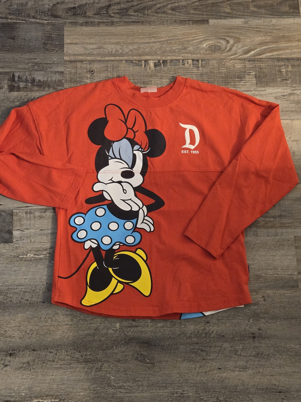 Girls Disneyland Youth Jersey - Large (11/12)